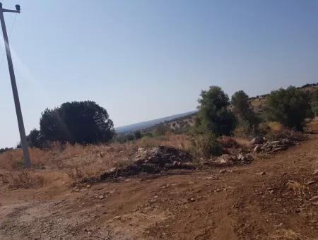 Didim Akyeniköy Zümrüttepede Satılık Arsa