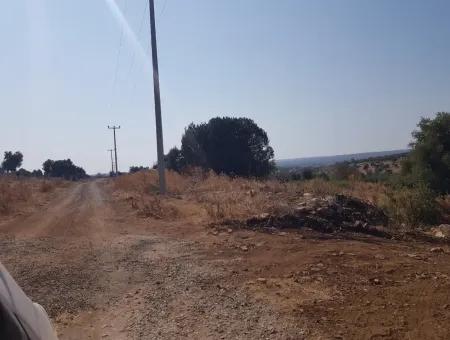 Didim Akyeniköy Zümrüttepede Satılık Arsa