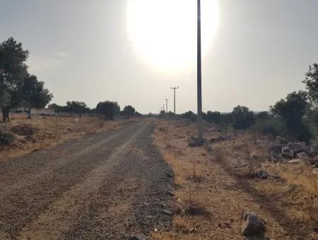 Didim Akyeniköy Zümrüttepede Satılık Arsa