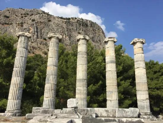 Didim Hakkında